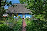 Traditional house with thatched roof and garden in Zingst, Fischland-Darss-Zingst, Coast of the Baltic Sea, Mecklenburg-Western Pomerania, Germany, Europe