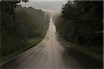 Country Road on Rainy Day, Newmarket, Ontario, Canada