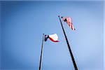 Low Angle View of Texas and US Flags Against Blue Sky