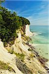 Chalk Cliffs and Shoreline, Jasmund National Park, Ruegen Island, Mecklenburg-Vorpommern, Germany