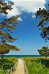 Walkway towards Water, Ruegen Island, Mecklenburg-Vorpommern, Germany