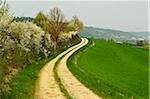 Country road, Altmuehl Valley, Bavaria, Germany, Europe