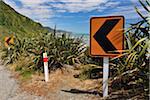 Traffic Sign, State Highway 6, Barrytown, West Coast, South Island, New Zealand