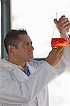 Mature scientist looking at liquid in volumetric flask