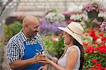 Mature man serving young woman in garden centre, smiling