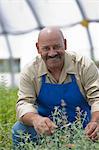 Mature man looking after plants in garden centre, portrait