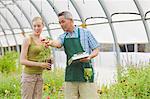 Mature sales assistant and mid adult woman in garden centre