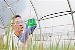 Mature scientist looking at liquid in volumetric flask in greenhouse