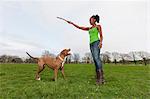 Young woman in park holding up stick for dog