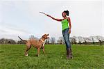 Young woman in park holding up stick for dog