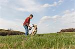 Man training alsatian dog with red frisbee