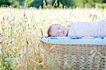 Newborn baby girl sleeping in moses basket in field