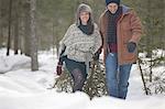 Happy couple dragging fresh Christmas tree in snowy woods