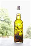 Still life of bottle of olive oil with herbs on window sill, Germany