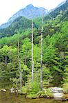 Pond Myojin, Nagano Prefecture