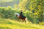 Woman Wearing Dress Riding a Connemara Stallion on a Meadow, Germany