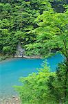 Trees and water stream, Akita Prefecture