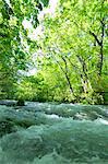 Oirase mountain stream, Aomori Prefecture