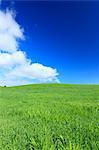 Grassland and sky with clouds, Hokkaido