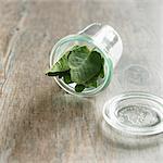 Organic Sage in a Tipped Glass Jar