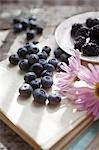 A summer still life of blueberries, blackberries and flowers