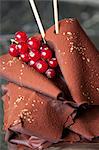 Chocolate cake topped with chocolate fans and redcurrants (close-up)