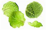 Savoy cabbage