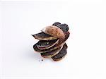 A stack of charred bread slices in front of white background