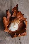 Fresh porcini mushroom on a dried autumn leaf