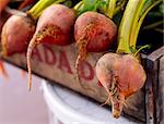 Fresh Golden Beets in a Crate