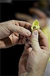 Two hands shaping a tortellino