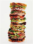 A stack of lots of different sandwiches