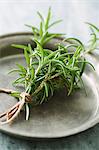 Bundled sprigs of rosemary