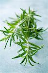 Sprig of rosemary