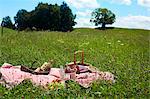 A picnic in a meadow of wild flowers