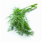 Sprigs of dill