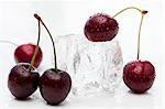 Sweet cherries and an ice cube