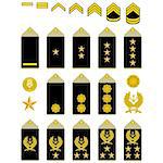 Military ranks and insignia of the world. The illustration on a white background.