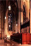 Ceiling Cathedral of St. Patrick, Manhattan, NYC