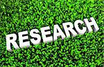 Environment Friendly Research on Grass in 3d
