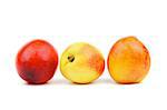 Three Nectarines In a Row isolated on white background