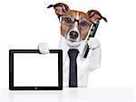 business dog with a tie , glasses ,tablet pc and smartphone
