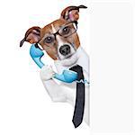 business dog on the phone behind a blank placard