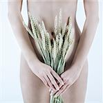 studio shot picture of a young beautiful breast naked caucasian woman holding grain