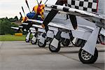 P-51 Mustang airplanes sit on the tarmac before a formation flight