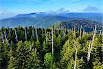 View from the observation deck of Clingman's Dome in the Great Smoky Mountains.