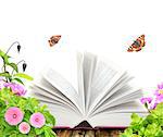 Book, flower and butterflys. Isolated over white