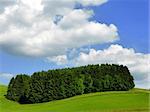 Green grass farmland, a piece of forest and summer blue sky composing a landscape typical of the Hansbergland region in Upper Austria