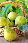 Ripe pears on basket