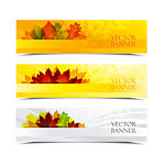 hundred autumn banners with place for text